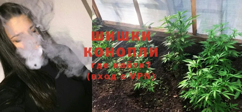 закладки  Бодайбо  Каннабис White Widow 